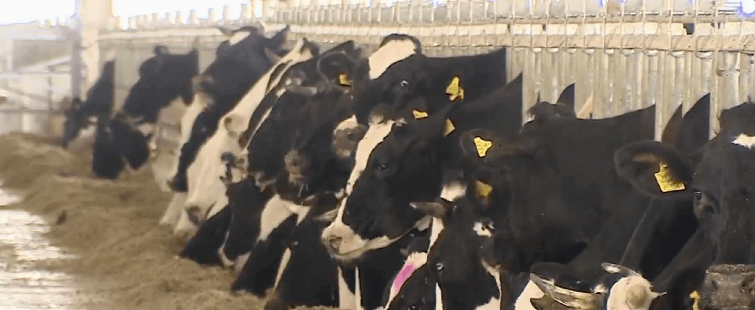 Agriculture